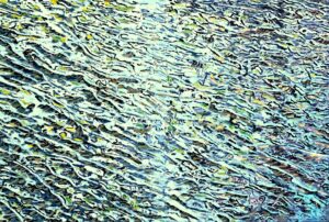 Leen van Duivendijk, Watergeheugen, olieverf op doek, 80x120 cm.